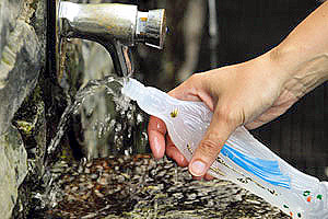eaux de sources de lourdes