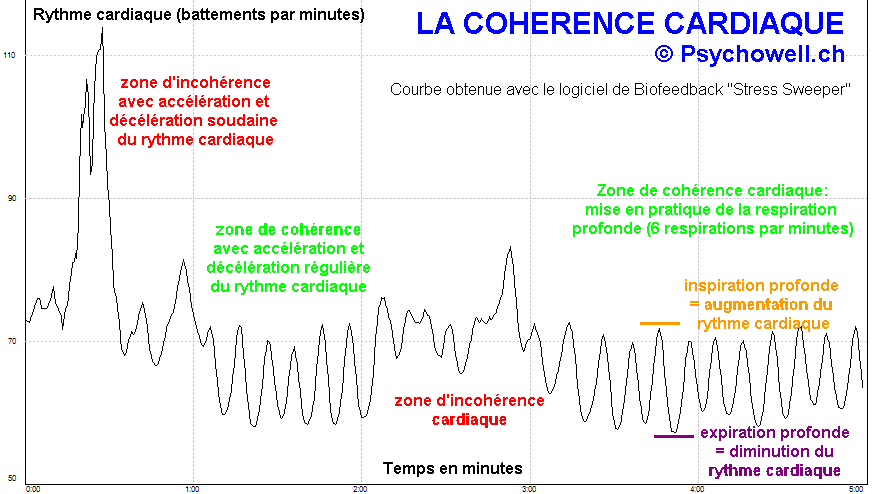 La Cohérence Cardiaque : un état physiologique réflexe